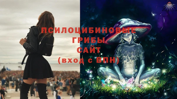 спайс Алексин