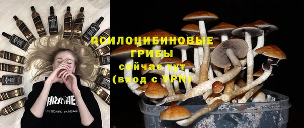 спайс Алексин